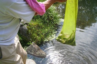 臭みのないニジマスが自慢　釣果も期待したい