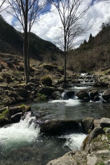 エサ釣りオンリーの渓流