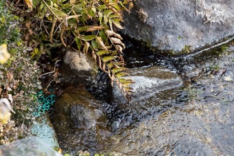 敷地内から水が湧き続けている