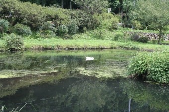 緑が多く清々しい空気が満ちる園内。野鳥も遊びに来る