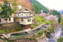 春の桜、秋の紅葉。上野村の自然は味わい深い