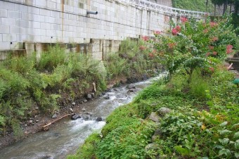 湧き出る清流が池に流れ込む