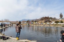 メインの池（池は全部で４箇所）