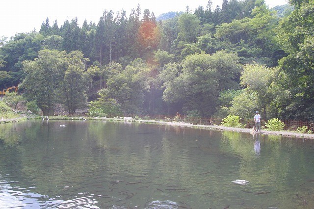 日本 イワナ センター