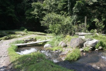 小ぶりの池はエサ釣り用