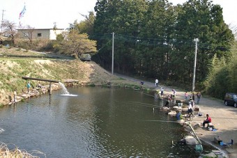 落合つり堀の釣り池