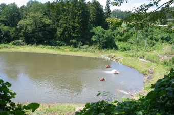 大雨の後で少し水が濁ってますが、普段はきれい