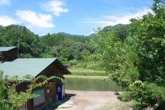 清らかな豊富な湧き水が良質な魚を育む