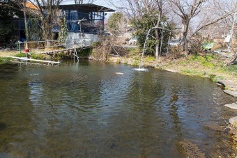 小さい釣り池は子供でも釣り易い