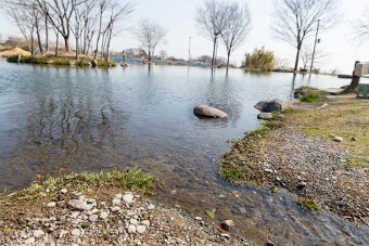 透明度の高い池では魚が食いつく瞬間が見える