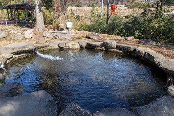 イワナの池