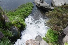 二本木川から綺麗な水を引く