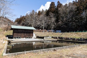 つかみ取りもできる貸切用の大きな池