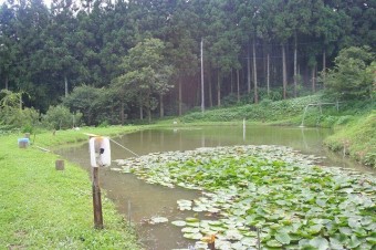 トラウトのエサ釣りポンドもある