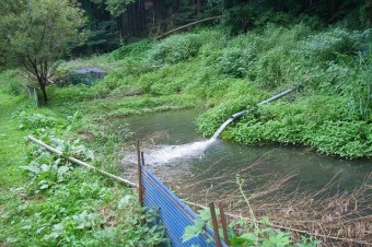 豊かな自然で大きく育つ魚たち