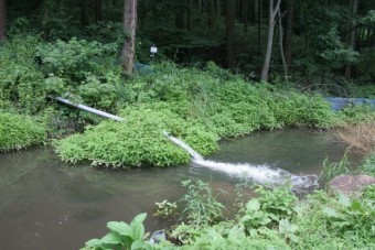 清らかな水が魚を育てる