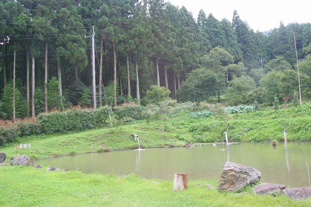 下仁田フィッシングパーク 群馬 下仁田の管理釣場 トラウトのポンドとコイの池がある