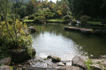 釣り池と日本庭園のコントラストが印象的