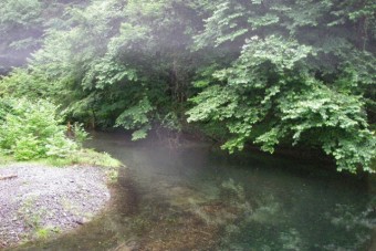 朝靄が漂う渓流も魅力的だ