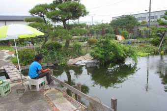 コイ釣り池は庭園の趣き