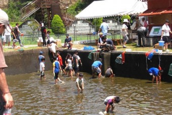 貸切池では水を抜いてつかみ取りも