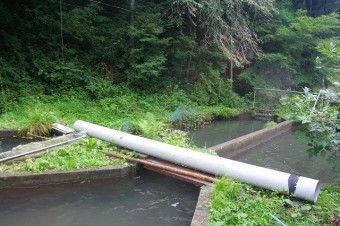 ヤマメ、イワナなどの養殖量は多い