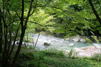 小滝や淵が連続する渓谷美に心が奪われる