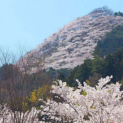 柄杓山 群馬県桐生市梅田町のお花見スポット