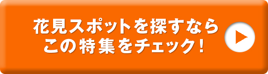 群馬の花見特集