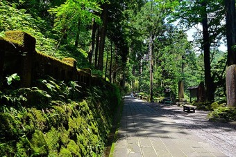 新緑に囲まれた参道に陽が差込み鮮やかな緑と自然が楽しめます。