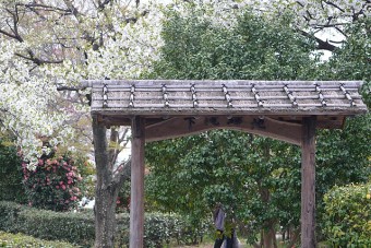 つつじや桜が咲く庭園