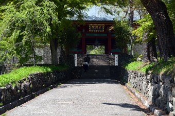 総門と門前のしだれ桜