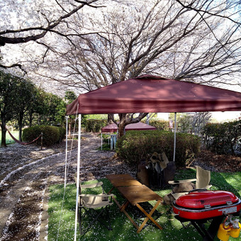 春は桜が、夏は濃い緑が、秋は紅葉が楽しめます