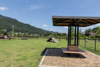 ドッグランがある道の駅