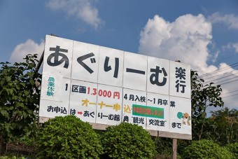 「旬野菜の収穫体験」や「農業体験教室」ができる