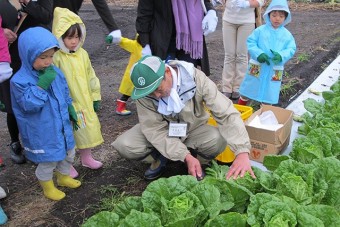 気軽に旬野菜の収穫体験ができる