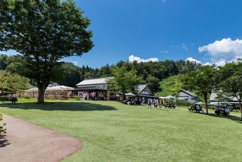 食事やお買い物をしながら気持ち良いお散歩ができる