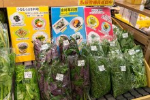 野菜ソムリエのオススメ野菜