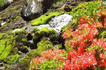 六合村には沢山の観光スポットがある