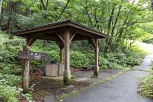 コマクサなど高山植物のある公園