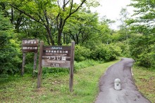 隣接のつつじ園は6月中旬が見頃