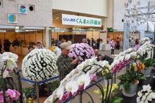藤岡市特産の「蘭」の展示会