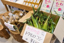 採れたての地元野菜