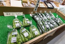 有機野菜も販売