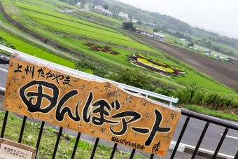 毎年様々な田んぼアートが楽しめる