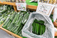 地元で獲れた新鮮野菜