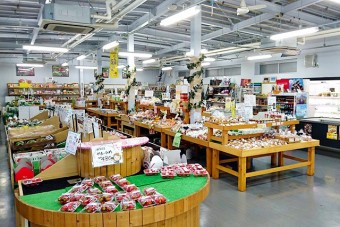 「採れたて市場」では地元の農産物などを販売