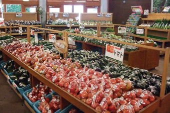白沢地域の新鮮野菜が並ぶ直売所