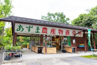 富弘美術館の前庭エリアにある農産物直売所