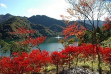 四季折々の湖畔の景色を楽しめる